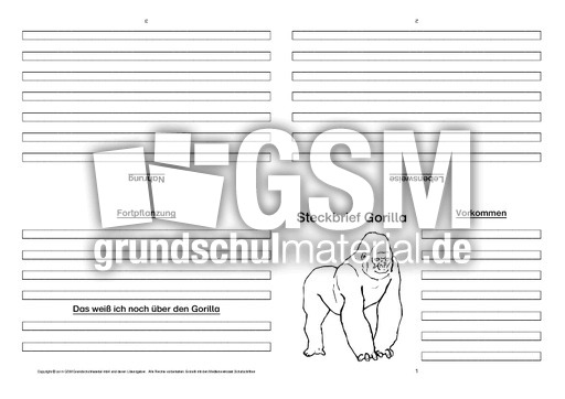 Gorilla-Faltbuch-vierseitig-3.pdf